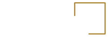 CodeX Studio